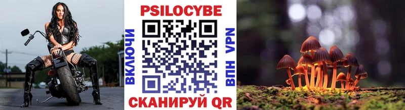 Псилоцибиновые грибы прущие грибы  Купить закладки  Дивногорск 