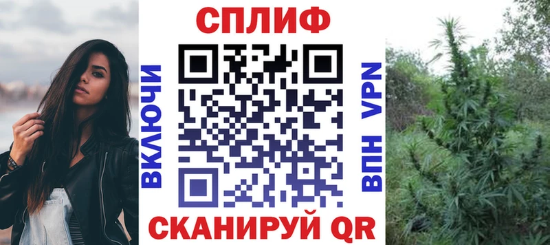 Шишки марихуана Amnesia  Купить где  Дивногорск 